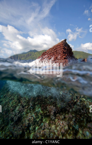 Une vue sur l'eau d'ailerons de requin Rock, un populaire site de plongée de l'île Cocos, au large de la côte du Costa Rica. Banque D'Images