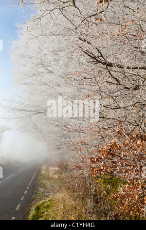 Givre et brouillard en hiver sur la voie à Scottsquar Hill dans les Cotswolds, au bord de la Loire, England, UK Banque D'Images