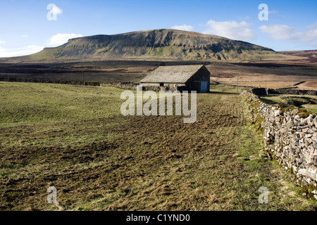 Un champ grange à Blishmire, avec le Pen-y-ghent dans la distance Banque D'Images