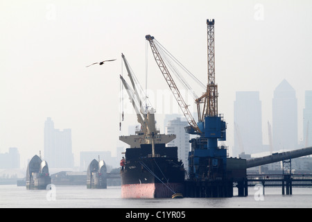 UK. Vues de chargement des cargos DE SUCRE TATE & LYLE PLANTE DANS LES DOCKS DE LONDRES, près de la barrière de la Tamise et Canary Wharf Banque D'Images