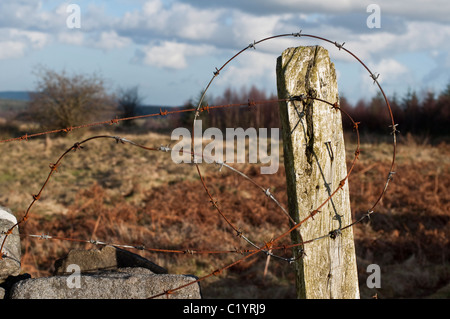 Barbelés rouillés, apposée sur un post de l'incliné sur une ferme dans le Northumberland, en Angleterre. Banque D'Images