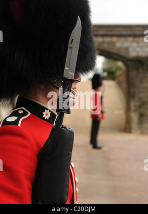 Des gardes en service au château de Windsor. Selective focus tunique rouge avec baïonnette. Banque D'Images