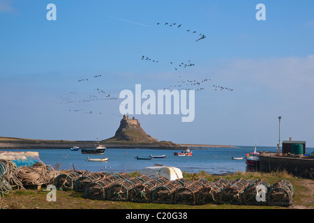 À la recherche de Lindisfarne, château, Île Sainte, Northumberland, England Banque D'Images