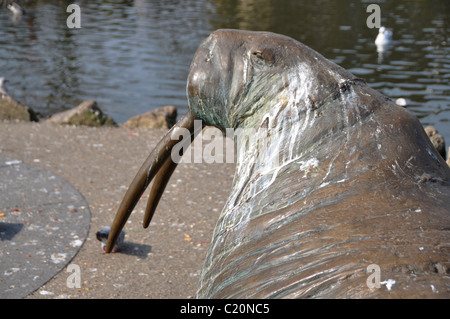 Jardins d'hiver Sunderland Walrus Banque D'Images