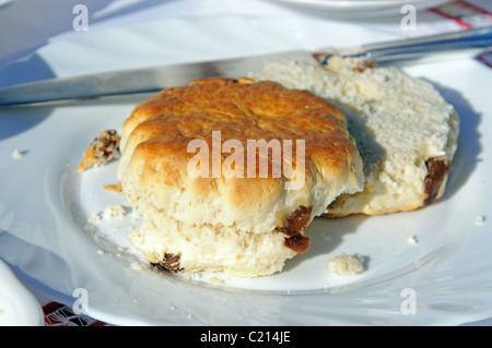 Un scone sultana réduit de moitié. Banque D'Images