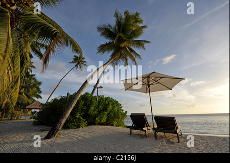 Plage de sable sur l'Île Desroches au soir, Seychelles Banque D'Images