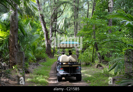 Chariot de golf à Coconut grove sur Desroches Island, Seychelles Banque D'Images