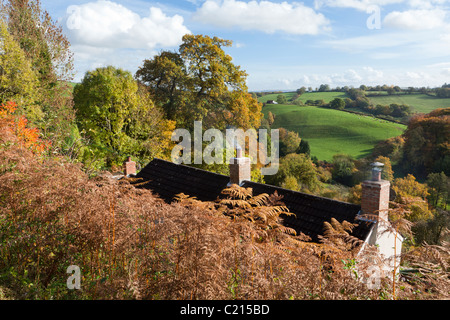 L'automne dans la forêt de Dean à deux ponts, au sud d'abaisser, Soudley Gloucestershire, Angleterre, RU Banque D'Images