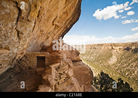 Vue à la recherche dans le canyon en position debout en balcon Chambre cliff demeure dans le Parc National de Mesa Verde, Colorado, USA. Banque D'Images