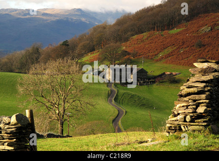 Ouverture dans le vieux mur de pierres sèches avec des vieux Lakeland hill farm au-delà de Cumbria, Angleterre, Royaume-Uni Banque D'Images