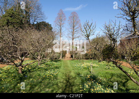 À petersfield Physic Garden Banque D'Images