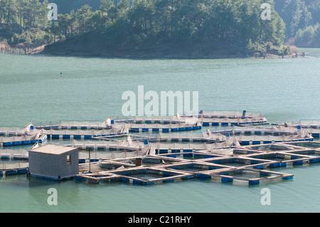 Les fermes piscicoles des filets des cages cage net agricole du lac de l'eau de l'aquaculture d'eau douce aqua culture sur kargi lake en Turquie près d'Antalya Banque D'Images