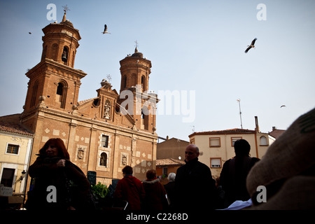 Les cigognes blanches, Alfaro, La Rioja, Espagne, España Banque D'Images