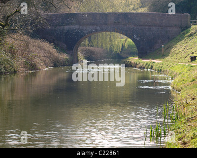 Pont sur le Grand Canal de l'Ouest, Tiverton, Devon, UK Banque D'Images