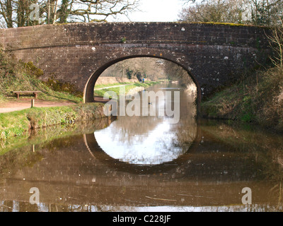 Manley, le grand pont du Canal Ouest, Tiverton, Devon, UK Banque D'Images