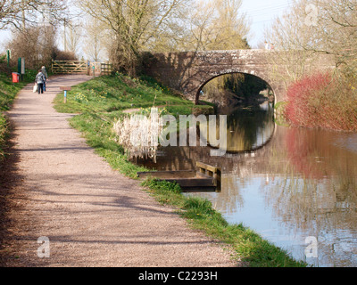 Crownhill, le grand pont du Canal Ouest, Tiverton, Devon, UK Banque D'Images