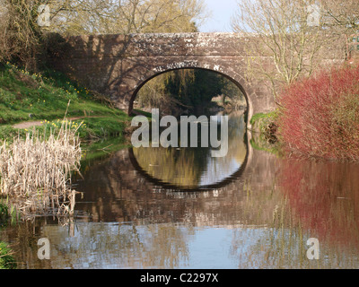 Crownhill, le grand pont du Canal Ouest, Tiverton, Devon, UK Banque D'Images