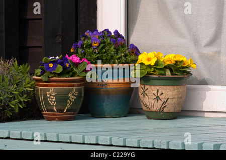 Plantes en pots de jardin décoratif Banque D'Images