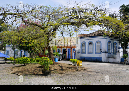 Arbre et maisons coloniales dans la ville historique de Morretes, Paraná, Brésil Banque D'Images