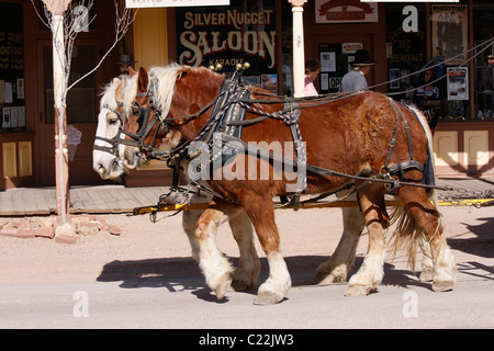 Travailler les chevaux tirant stagecoach, Tombstone, en Arizona. Banque D'Images