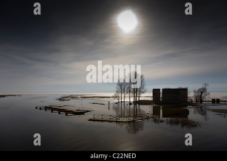 Dans la rivière Emajõgi Jõesuu, lac Võrtsjärv, Estonie Banque D'Images