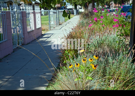 Promenade sur le trottoir en face de la Fondation nous pouvons Centre d'apprentissage communautaire du centre-sud de Los Angeles Banque D'Images