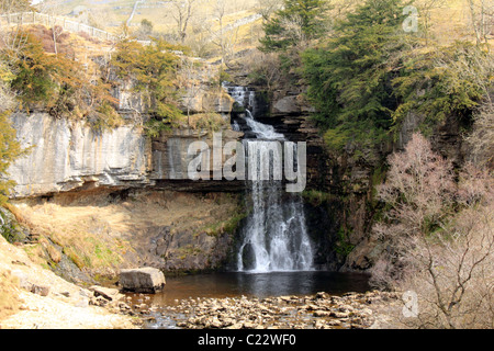 Thornton de travail sur le sentier des chutes d''Ingleton dans le Yorkshire Dales Banque D'Images