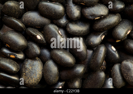 La petite tortue Noir Brillant Bean est particulièrement populaire en Amérique latine traditionnelle mais il peut également être trouvé dans la cuisine créole et cajun de l'Lou Banque D'Images