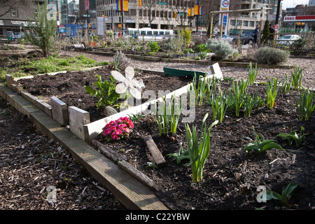 Davie Village jardin communautaire - Vancouver BC, Canada Banque D'Images