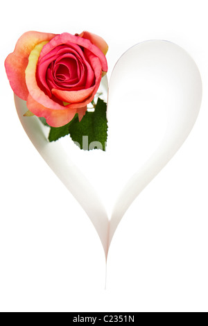 Coeur composé de papier avec rose sur fond blanc Banque D'Images