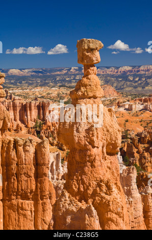 Le marteau de Thor et cheminées de grès dans l'Amphithéâtre de Bryce Canyon Utah USA Etats-Unis d'Amérique US Banque D'Images