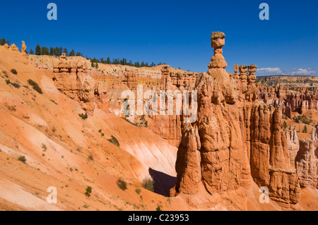 Le marteau de Thor et cheminées de grès dans l'Amphithéâtre de Bryce Canyon Utah USA Etats-Unis d'Amérique US Banque D'Images