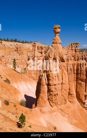 Le marteau de Thor et cheminées de grès dans l'Amphithéâtre de Bryce Canyon Utah USA Etats-Unis d'Amérique US Banque D'Images