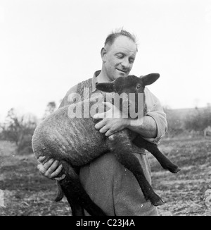 Années 1950, l'Angleterre. Un fier agriculteur détient une tonte des moutons à tête noire nouvellement dans ses bras dans ce tableau historique par J Allan l'argent comptant. Banque D'Images