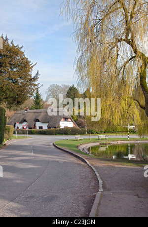 Village de chalets et Canardière, Crawley, Hampshire Banque D'Images