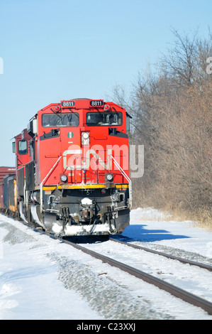 8811 L'unité à la tête de deux locomotives des chemins de fer nationaux du Canada sur une froide journée d'hiver. Bartlett, Illinois, USA. Banque D'Images