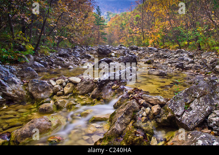 Velika Paklenica Creek, l'automne à Starigrad Paklenica National Park, Croatie Banque D'Images