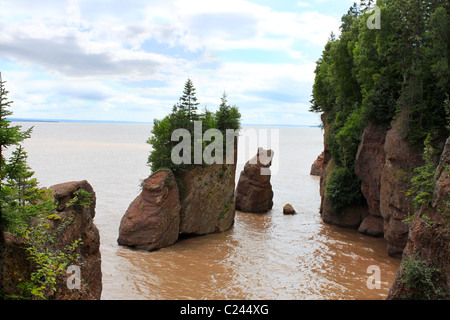L'eau boueuse avec la marée haute, donnant sur le rochers en forme à Hopewell Rocks, au Nouveau-Brunswick, Canada Banque D'Images
