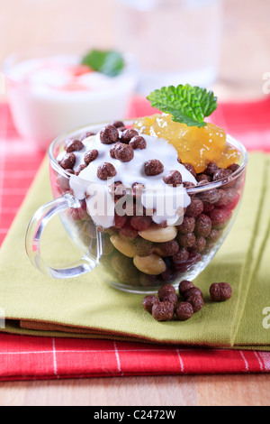 Céréales pour petit déjeuner au chocolat avec du yogourt et préserver Banque D'Images