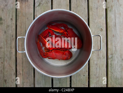 Nouveau homard cuit Banque D'Images