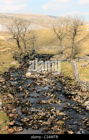 Raven pont Ray Ingleton Cascades Trail Yorkshire Dales Banque D'Images