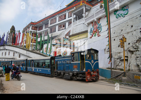 Le petit train passe par le monastère Choeling à Darjeeling, West Bengal, India. Banque D'Images