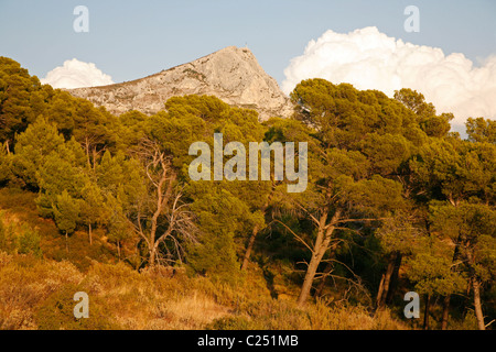 Vue sur la Montagne Sainte Victoire qui permet d'être l'un des sujets favoris de Cézanne. Aix en Provence, Provence, France. Banque D'Images