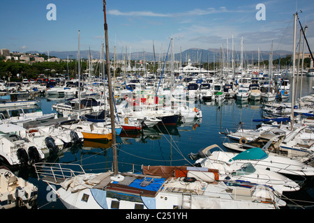 Yachts et bateaux au Port Vauban, Antibes, Alpes Maritimes, Provence, France. Banque D'Images