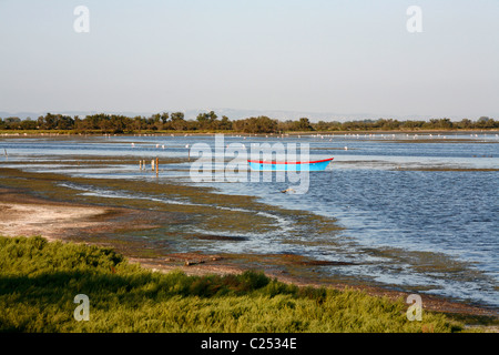 Rives de l'Étang du Vaccares Camargue, Provence, France. Banque D'Images