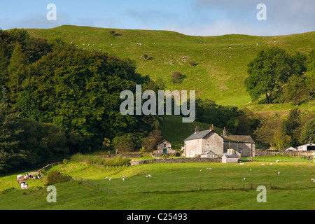 Ferme sur Laund Hill, forêt de Bowland, Lancashire Banque D'Images