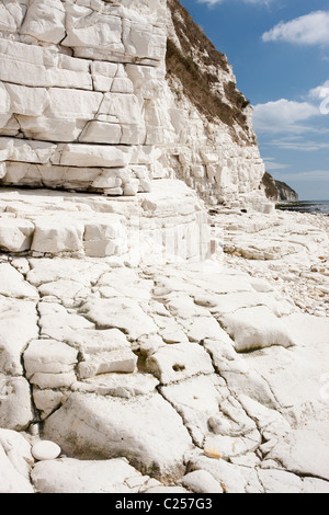 Falaises de craie à l'extrémité des digues, près de Flamborough, East Yorkshire Banque D'Images