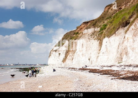 Falaises de craie à l'extrémité des digues, près de Flamborough, East Yorkshire Banque D'Images