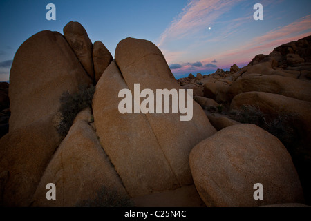 Rock area Jumbo au crépuscule à Joshua Tree National Park, Twentynine Palms, CA. Banque D'Images