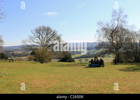 Newlands Corner Albury sur une partie de la North Downs près de Guildford, Surrey, Angleterre, Royaume-Uni Banque D'Images